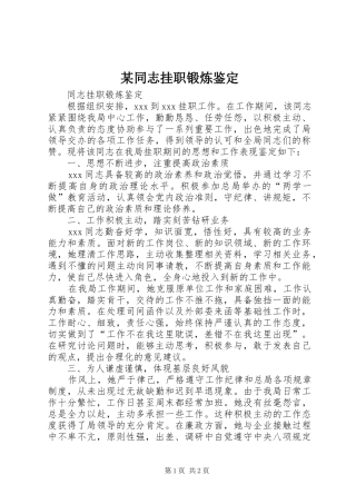 2024年同志挂职锻炼鉴定