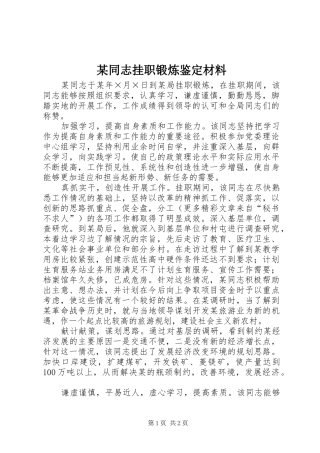 2024年同志挂职锻炼鉴定材料