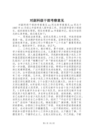 2024年对副科级干部考察意见