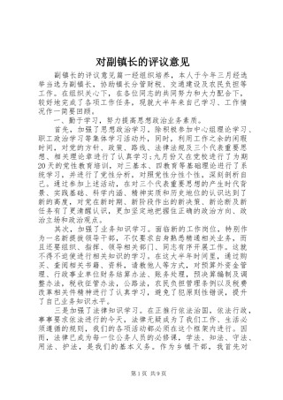 2024年对副镇长的评议意见