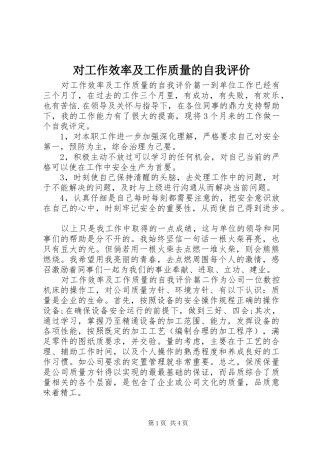2024年对工作效率及工作质量的自我评价