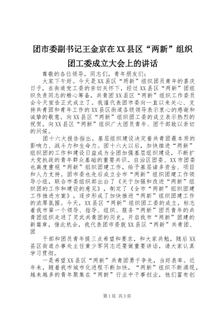 2024年团市委副书记王金京在县区两新组织团工委成立大会上的致辞
