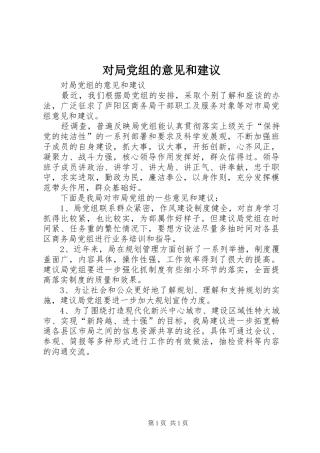 2024年对局党组的意见和建议