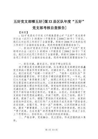 2024年五好党支部哪五好煤县区队年度五好党支部考核自查报告
