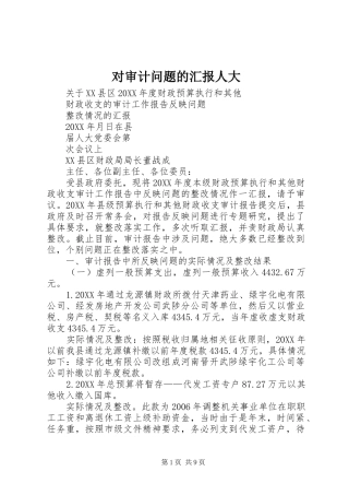 2024年对审计问题的汇报人大