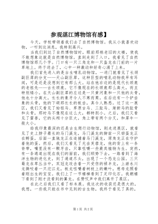 2024年参观湛江博物馆有感