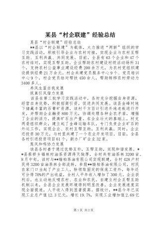 2024年县村企联建经验总结