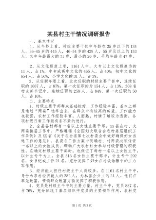 2024年县村主干情况调研报告