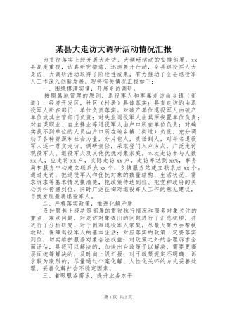 2024年县大走访大调研活动情况汇报