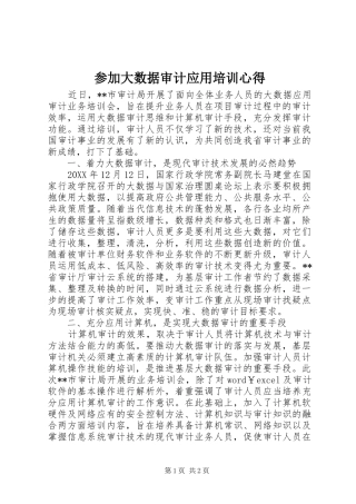 2024年参加大数据审计应用培训心得