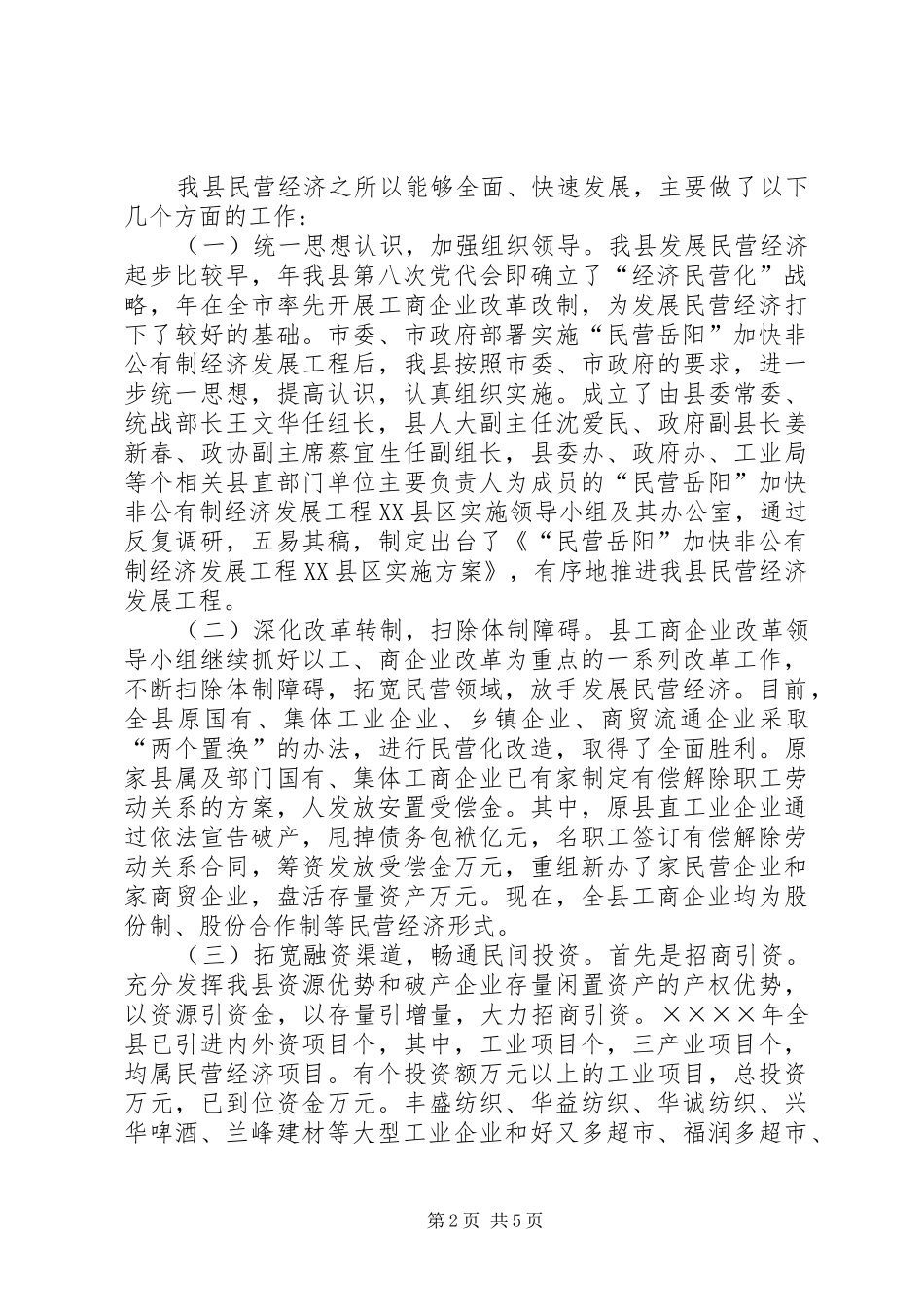 2024年县二四年民营工作总结及二五年工作规划_第2页