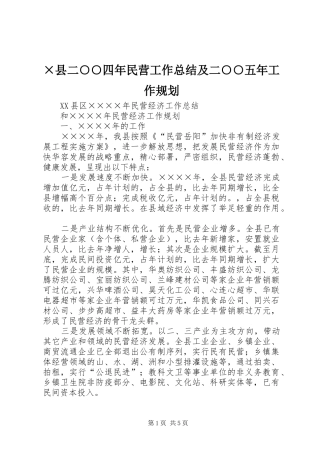 2024年县二四年民营工作总结及二五年工作规划