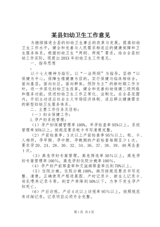 2024年县妇幼卫生工作意见