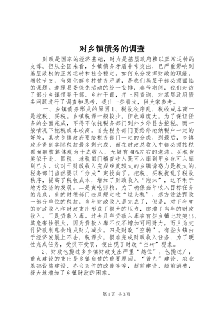 2024年对乡镇债务的调查