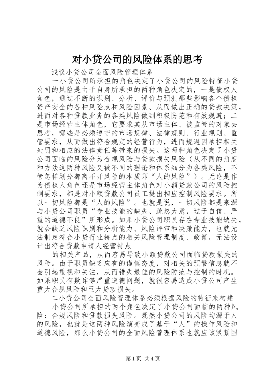 2024年对小贷公司的风险体系的思考_第1页