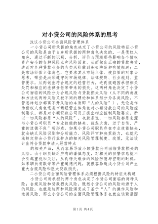 2024年对小贷公司的风险体系的思考