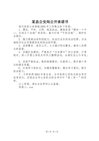 2024年县公安局公开承诺书