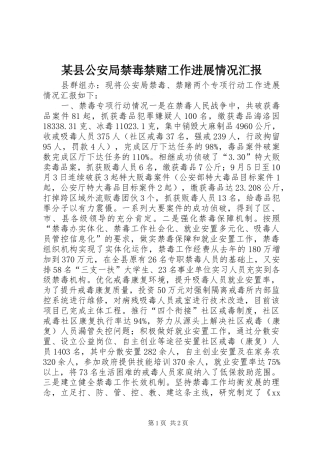 2024年县公安局禁毒禁赌工作进展情况汇报