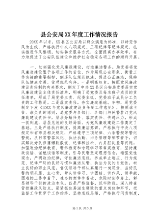 2024年县公安局年度工作情况报告