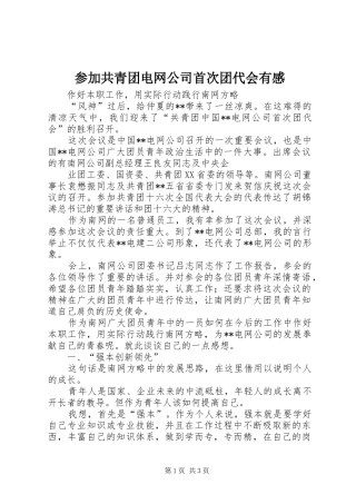 2024年参加共青团电网公司首次团代会有感