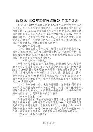 2024年县公司工作总结暨工作计划