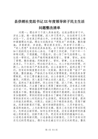 2024年县供销社党组书记年度领导班子民主生活问题整改清单