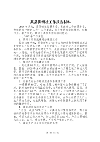 2024年县供销社工作报告材料
