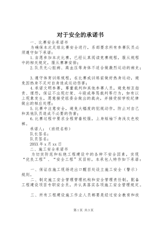 2024年对于安全的承诺书