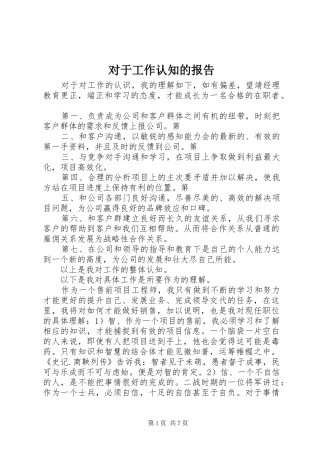 2024年对于工作认知的报告