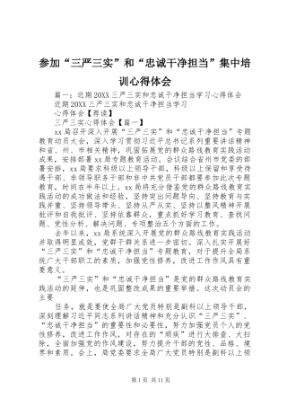 2024年参加三严三实和忠诚干净担当集中培训心得体会