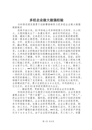 2024年多经企业做大做强经验