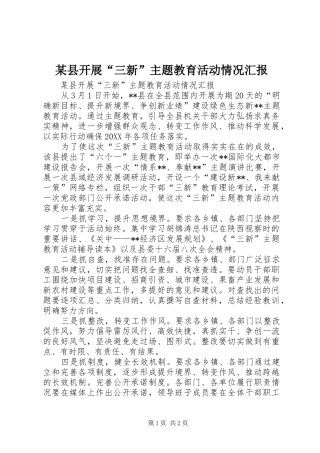 2024年县开展三新主题教育活动情况汇报