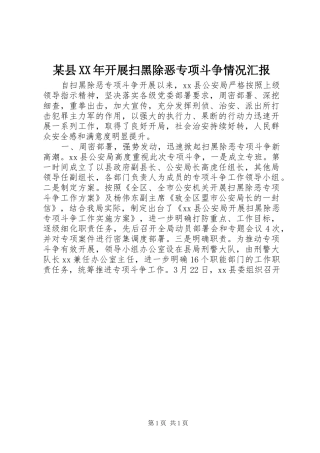 2024年县开展扫黑除恶专项斗争情况汇报