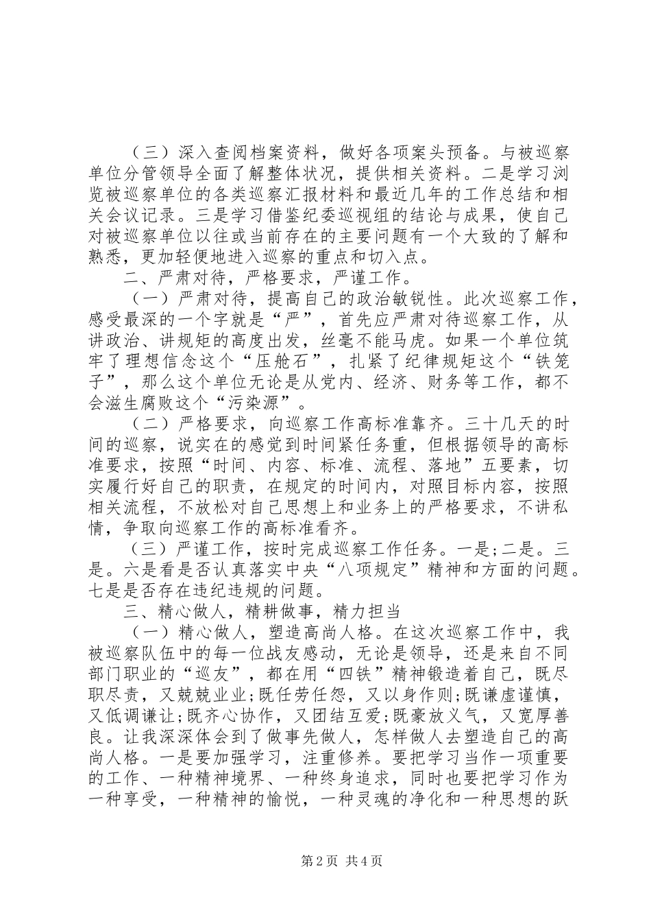 2024年参加市委巡查组巡察工作心得体会_第2页