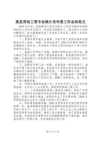 2024年县劳动工资专业统计员年度工作总结范文