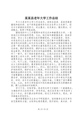 2024年县老年大学工作总结