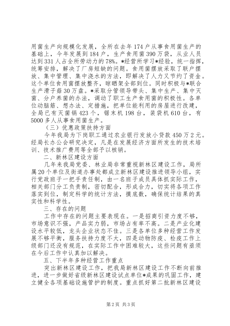 2024年多种经营工作总结_第2页