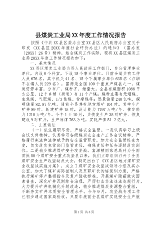 2024年县煤炭工业局年度工作情况报告