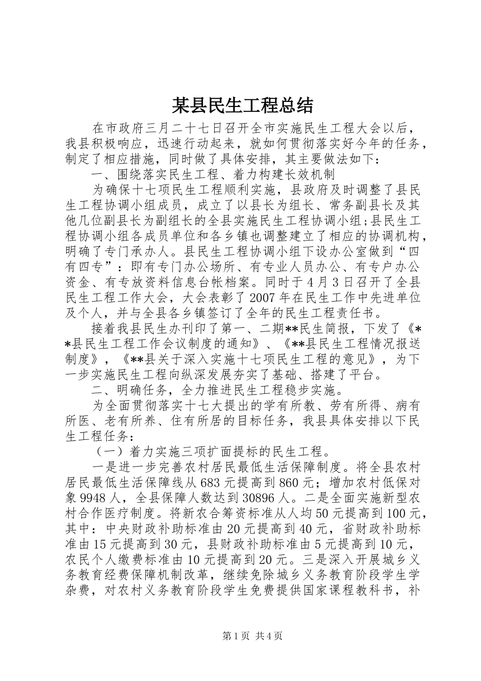 2024年县民生工程总结_第1页