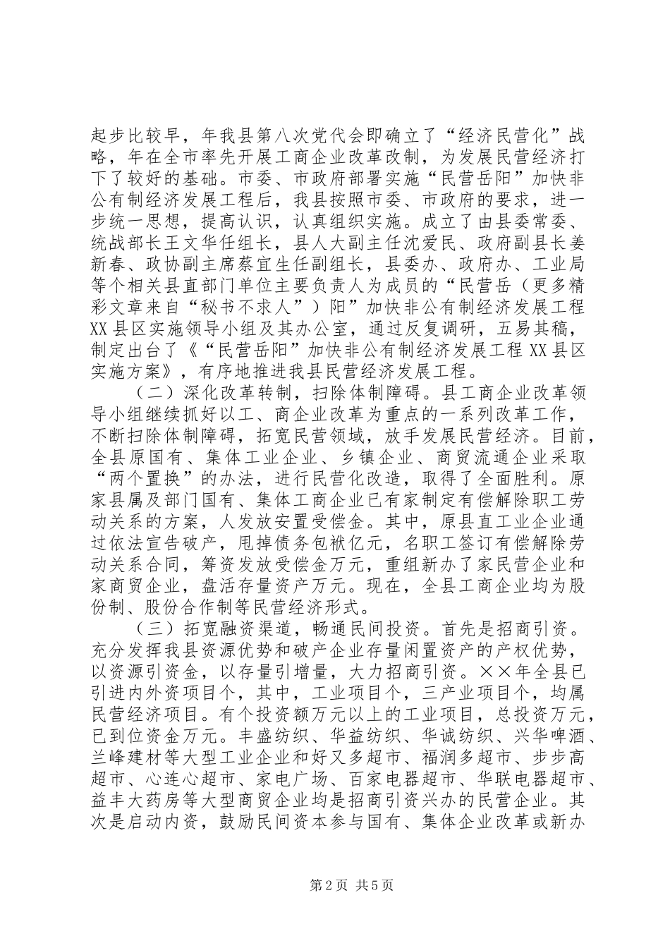 2024年县民营工作总结及工作规划_第2页