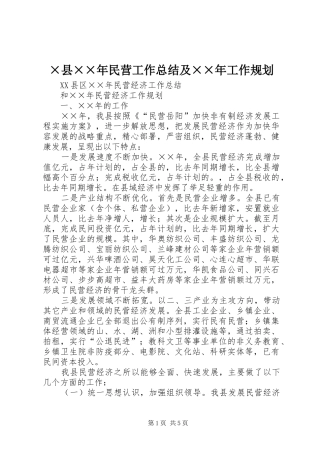 2024年县民营工作总结及工作规划