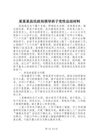 2024年县民政局领导班子党性总结材料