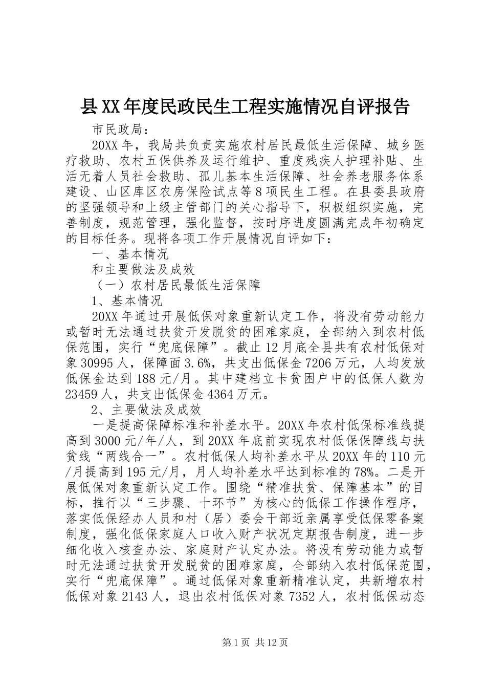 2024年县年度民政民生工程实施情况自评报告_第1页