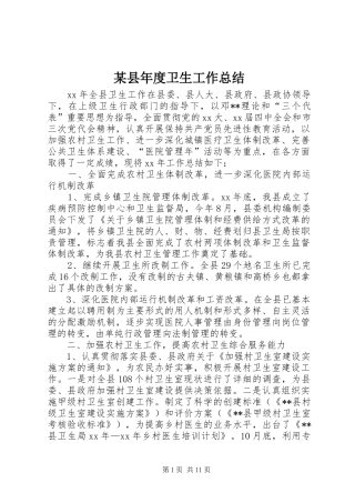 2024年县年度卫生工作总结