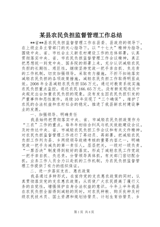 2024年县农民负担监督管理工作总结