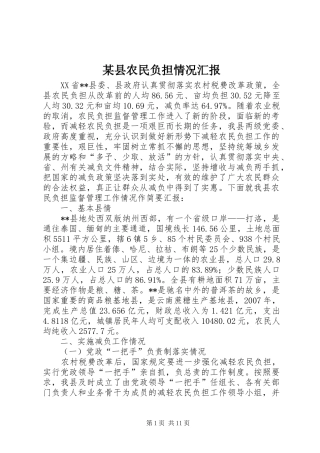 2024年县农民负担情况汇报
