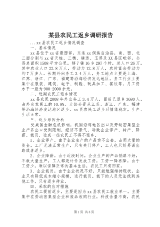 2024年县农民工返乡调研报告