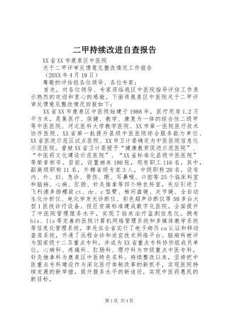 2024年二甲持续改进自查报告