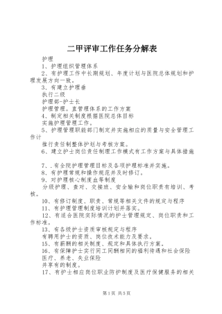 2024年二甲评审工作任务分解表