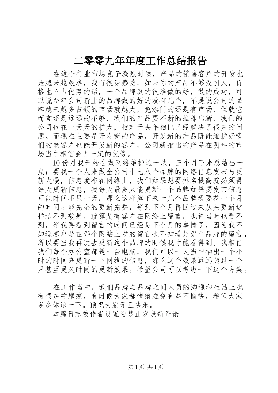 2024年二零零九年年度工作总结报告_第1页